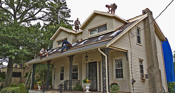 Best Metal Roofing Contractor  in Whitney, TX